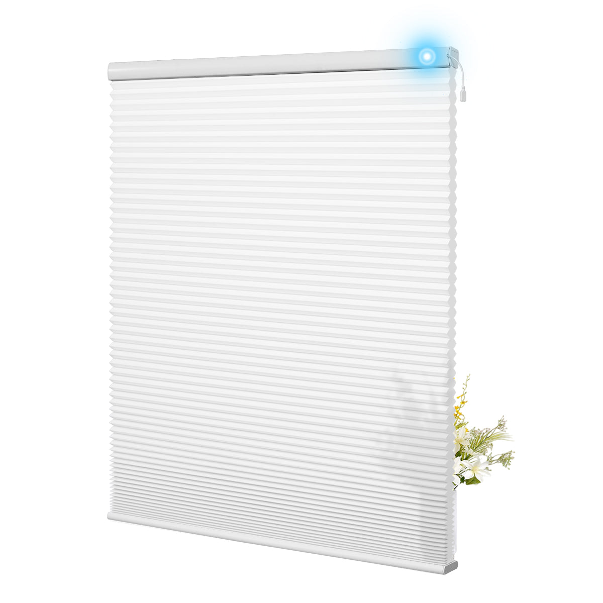38L01-White