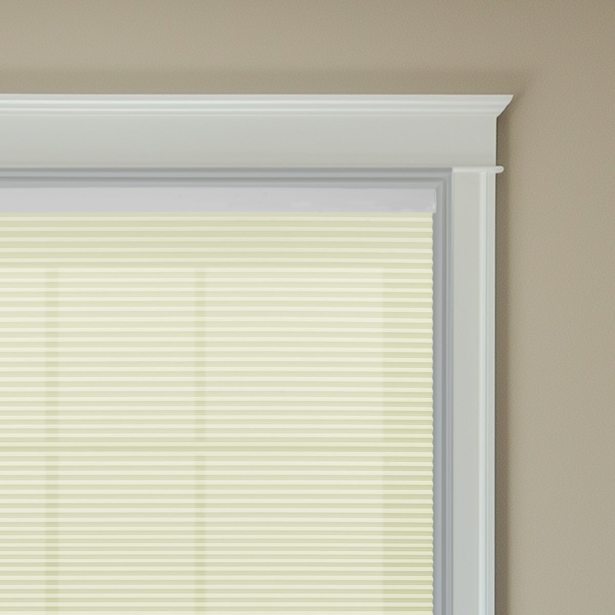 Berissa 1.5 Inch Motorized Blackout Honeycomb Cellular Shades