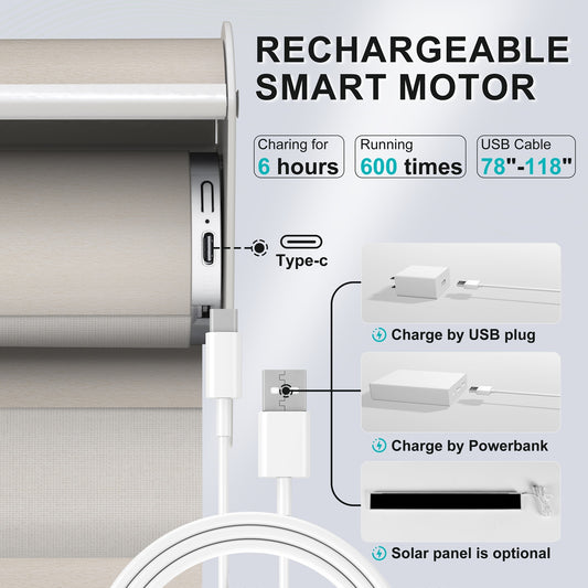 Berissa Custom Size Modern Smart Zebra Blinds
