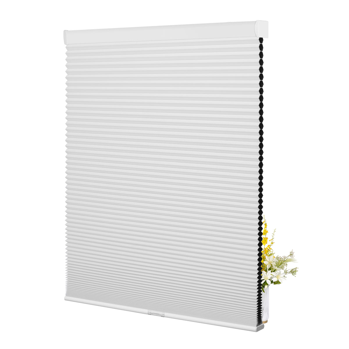 B01-White