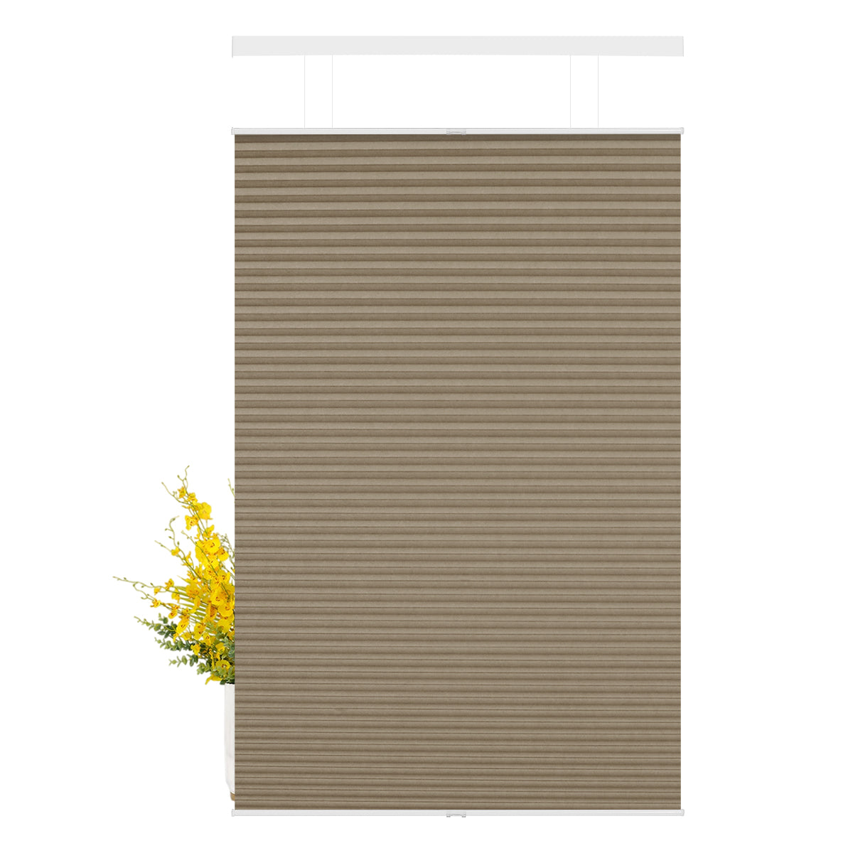 B08-Brown