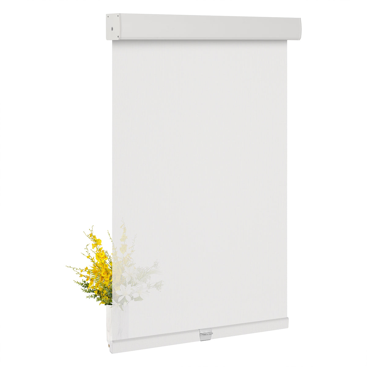 JL0101- White