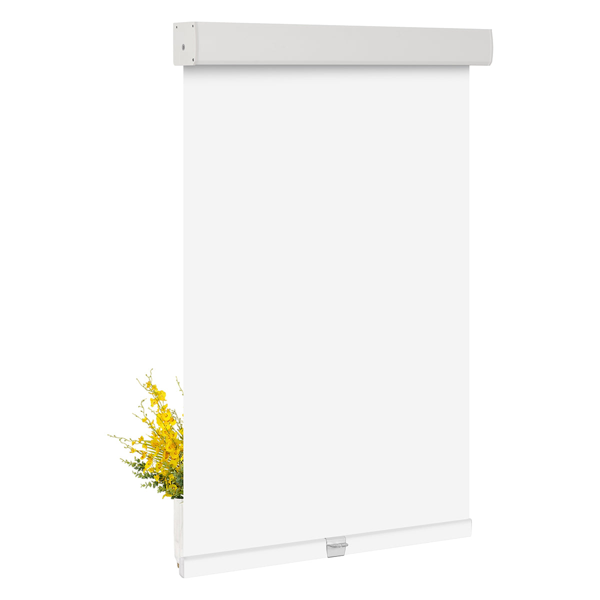 JL0201- White