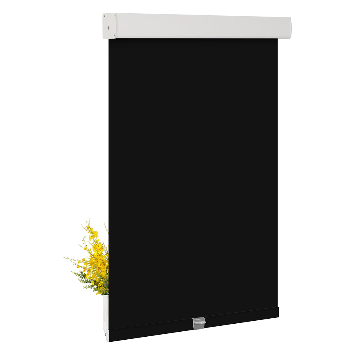 JL0210-Black