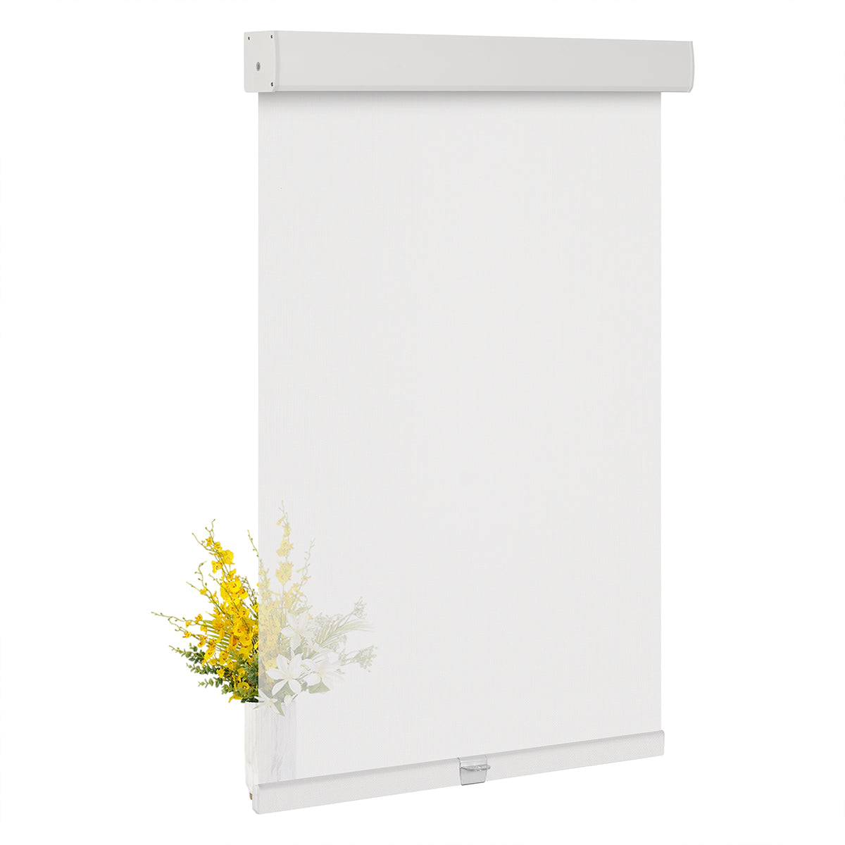 JL0601-White