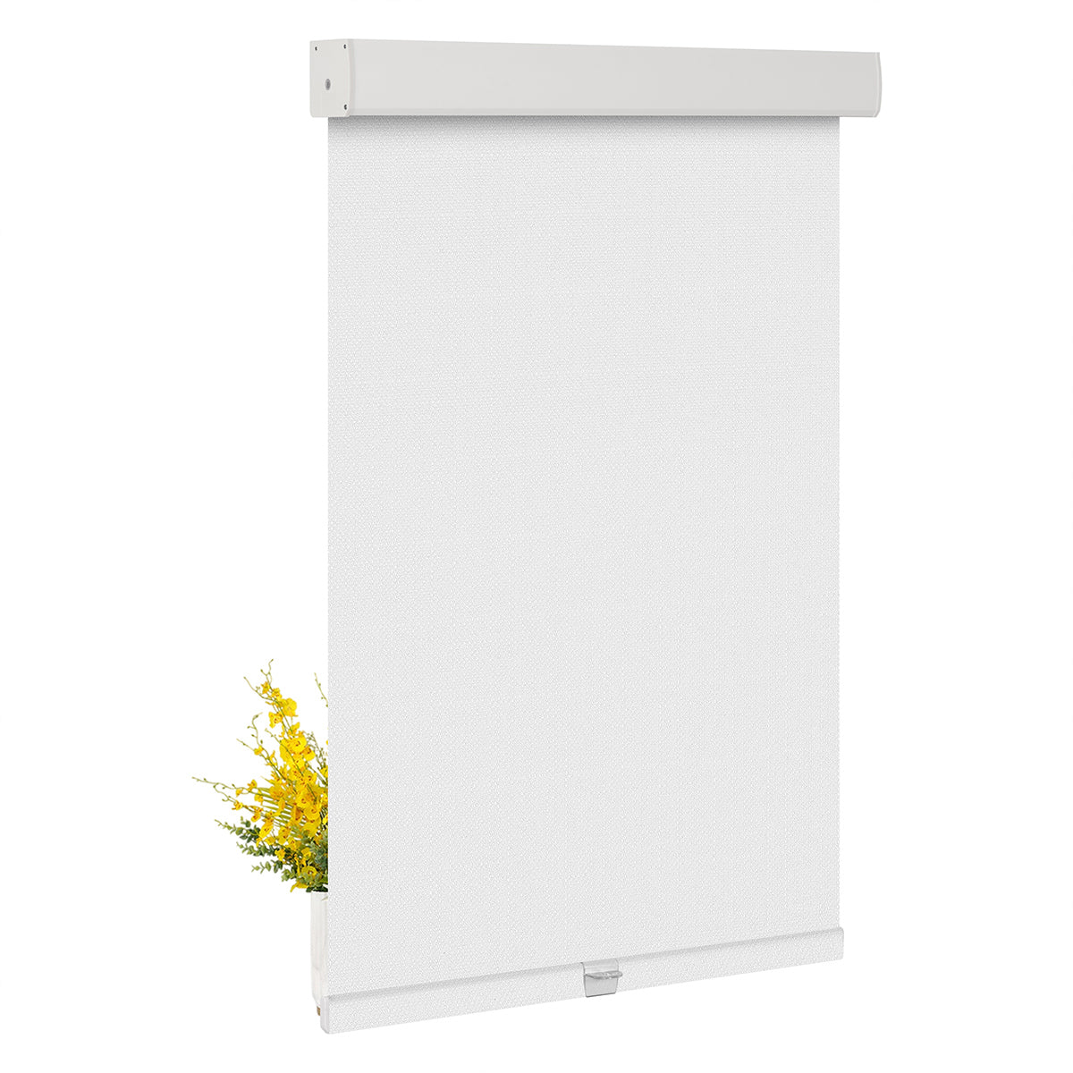 JL0901-White
