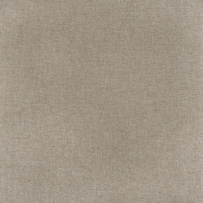 Berissa Classic Linen Blend Cordless Roller Shades fabric in beige texture.