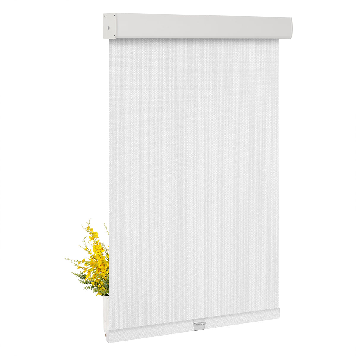 JL1101-White