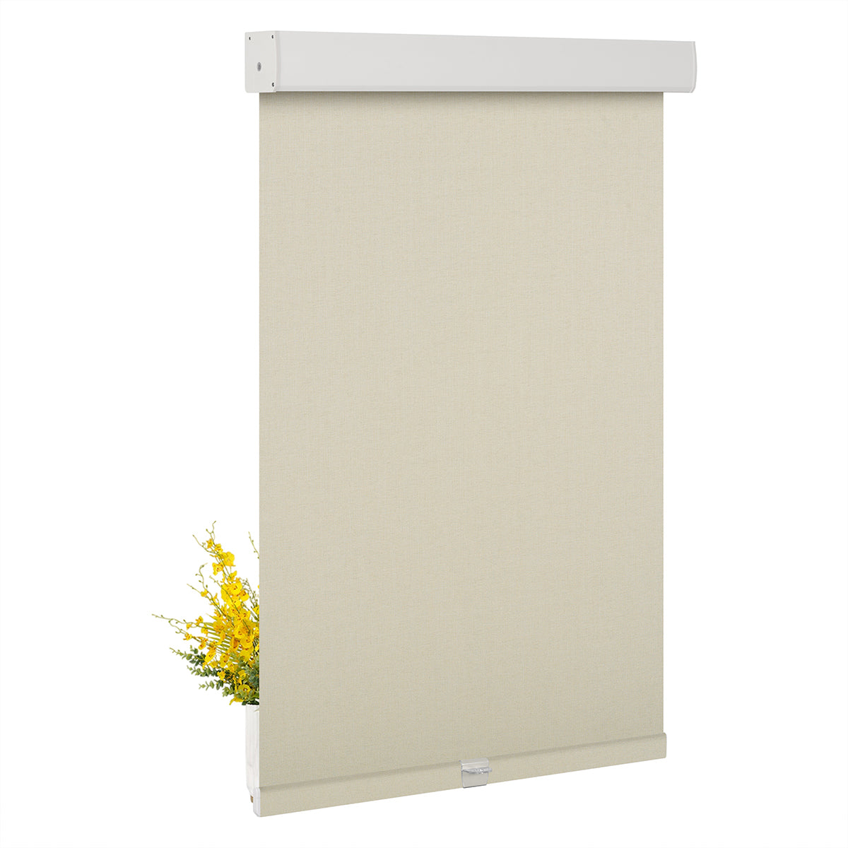 JL1606-Beige