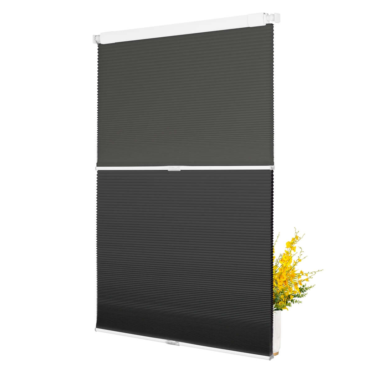 Light Filtering Black+Blackout Black