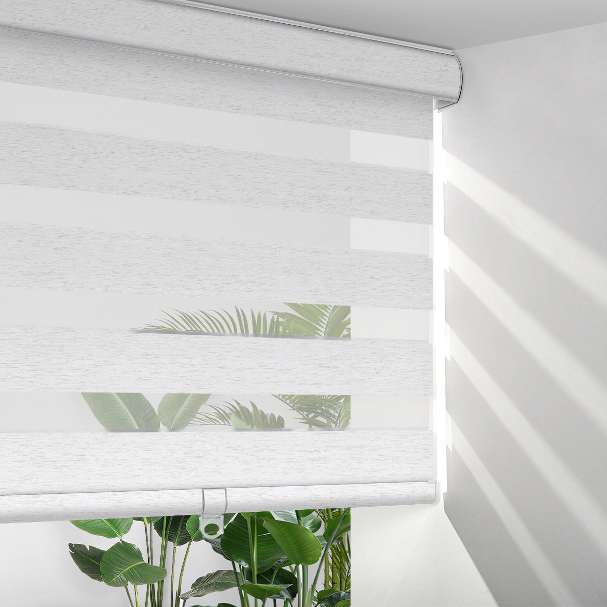 Berissa Wheat Inspired Blackout Free-Stop Zebra Blinds Cordless Child Safe in white with natural light.