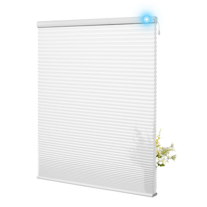 38L01-White