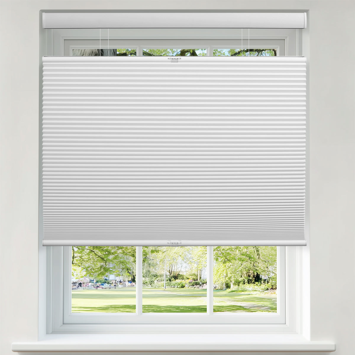 Berissa 1.5 Inch Heat Insulated Top Down Bottom Up Cellular Blinds in a window with a view of a garden.