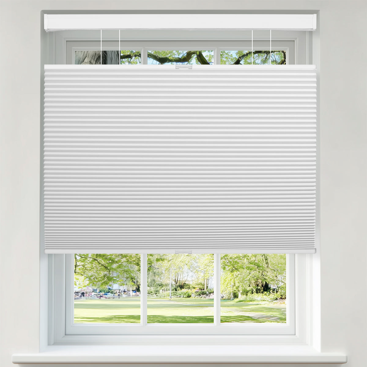 Berissa Classic Top Down Bottom Up Cellular Shades elegantly framing a sunny window view.