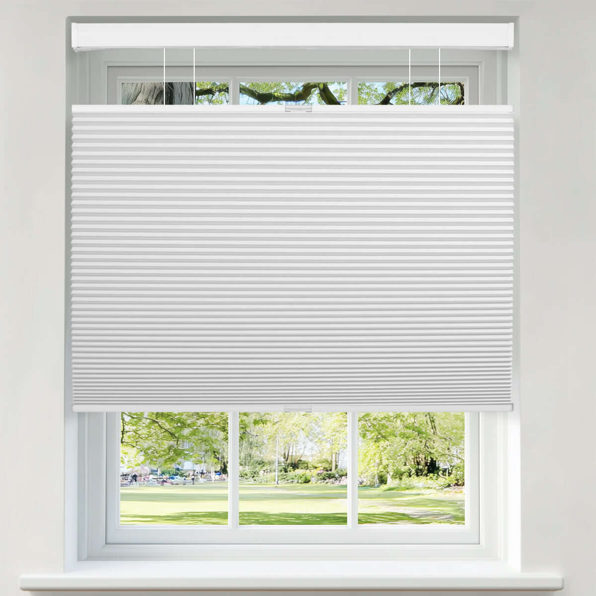 Berissa Classic Blackout Top Down Bottom Up Cellular Shades installed in a window with a view.