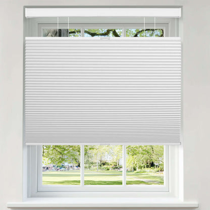 Berissa Classic Blackout Top Down Bottom Up Cellular Shades installed in a window with a view.