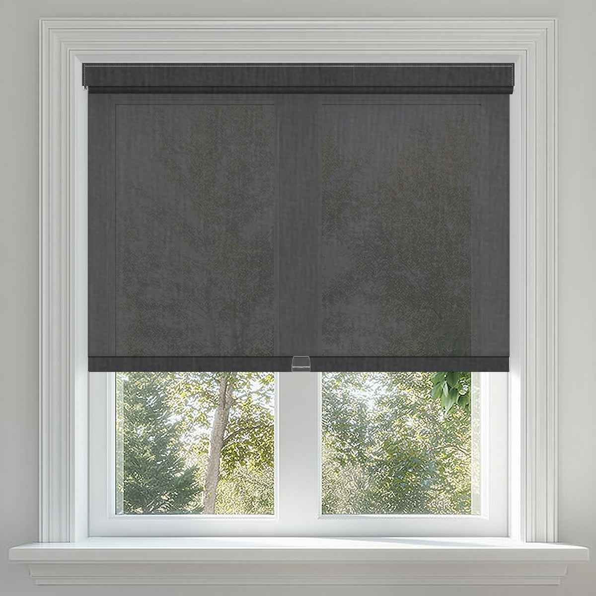 Berissa Spring System Cordless Roller Shades in a modern window setting with light-filtering fabric.