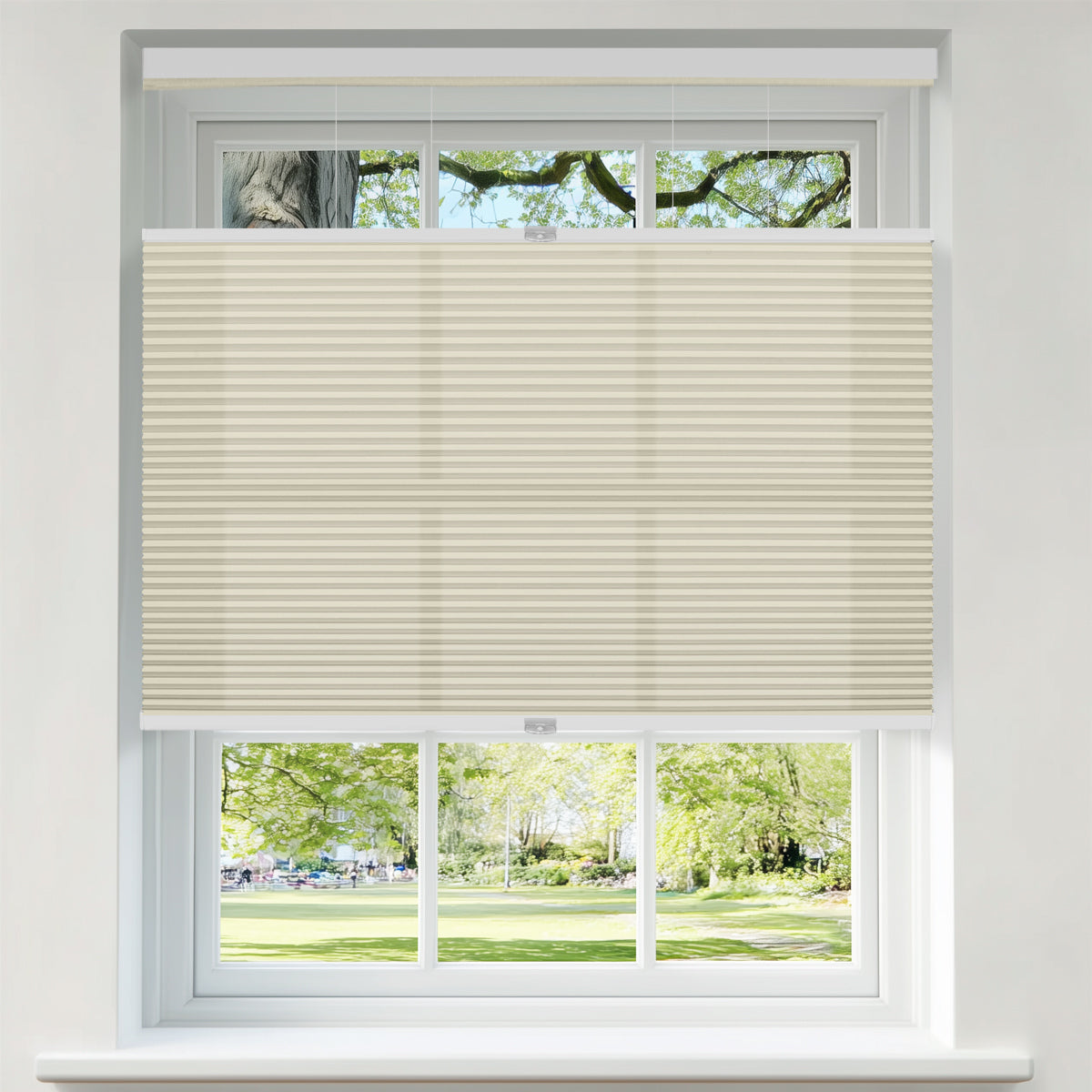 Berissa Shallow Depth Fit Cordless Top Down Bottom Up Cellular Shades in a window showcasing natural light.