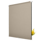 B08-Brown