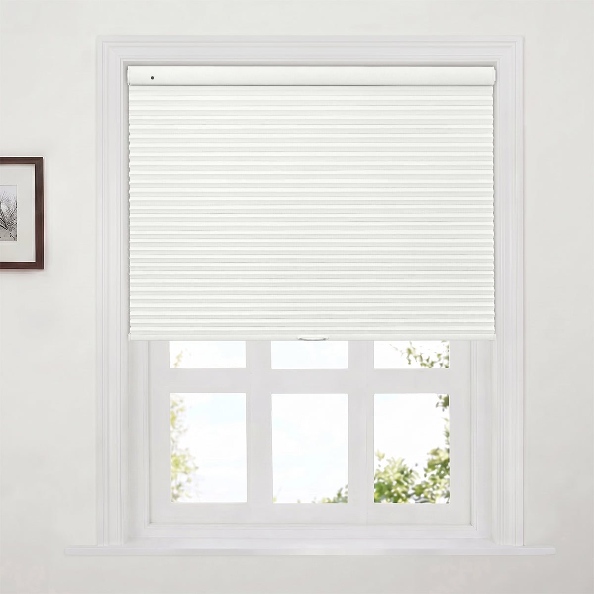 38WXB001-White