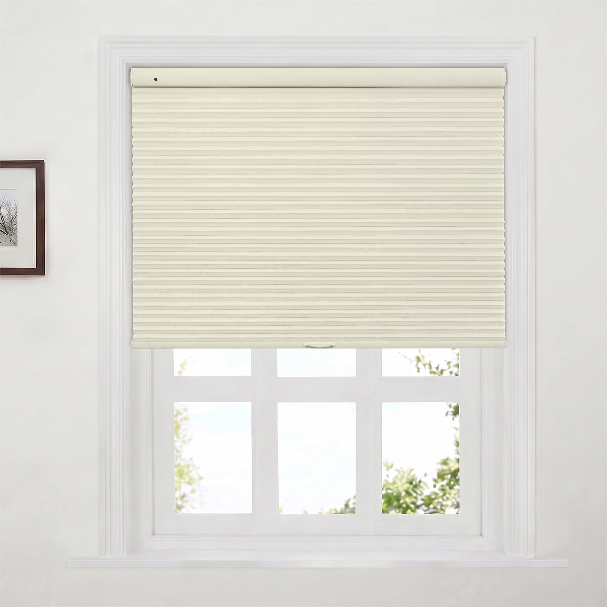 38WXB008-Beige
