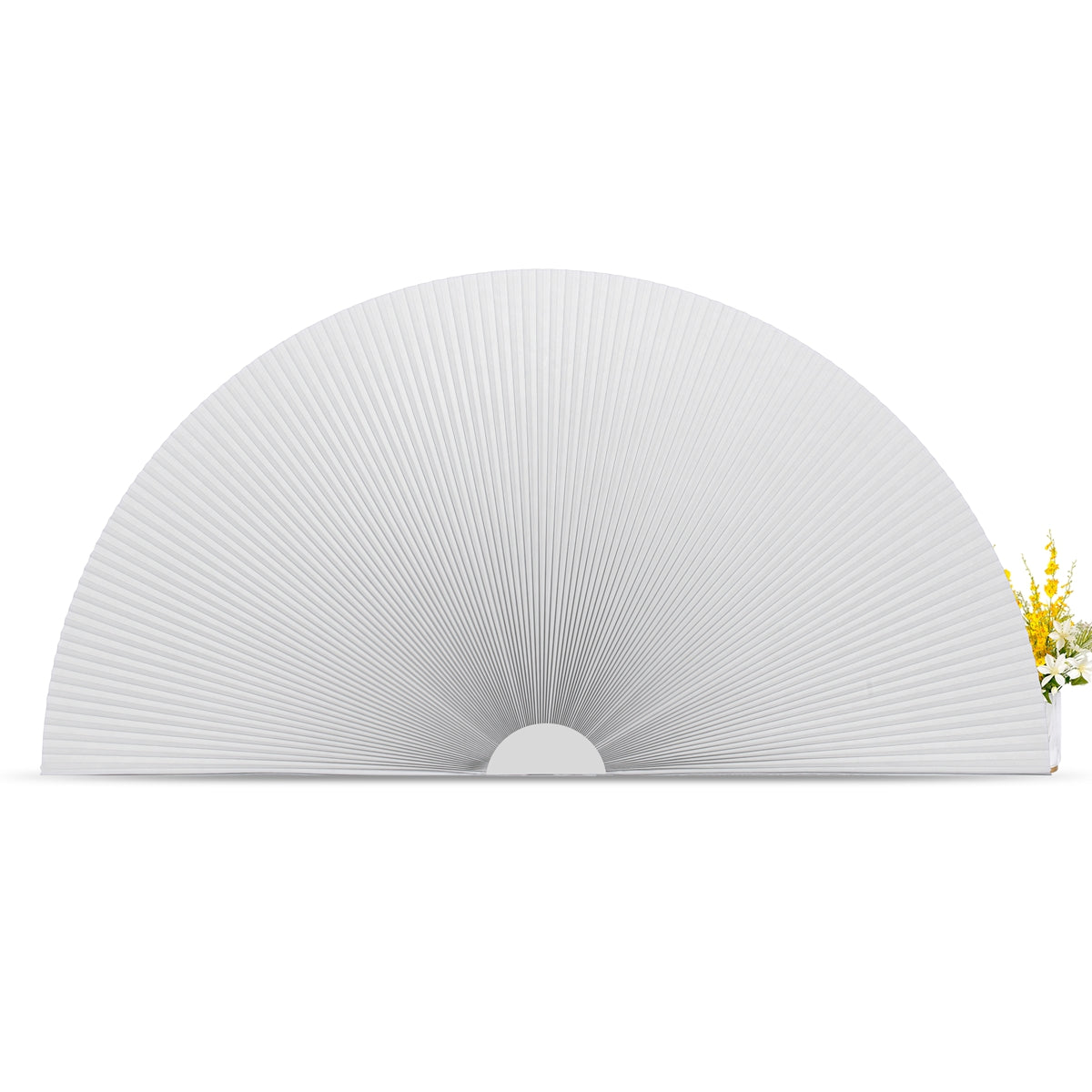 B01-White
