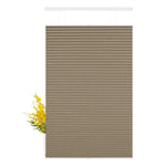 B08-Brown