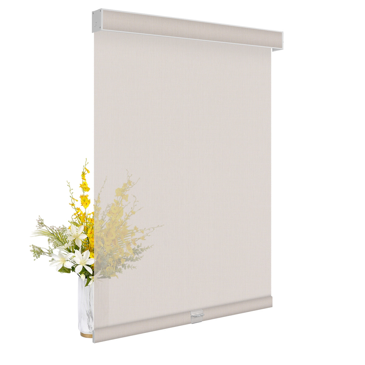 5% Light Transmittance- Beige