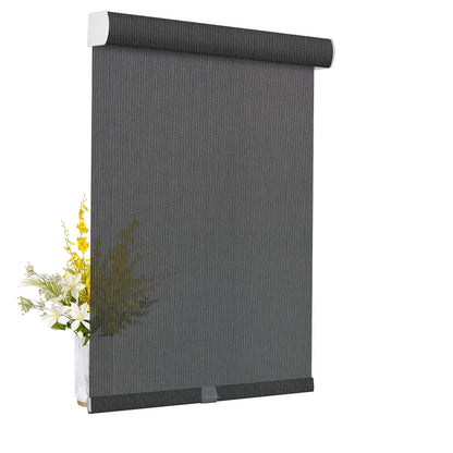 10% Light Transmittance -Black