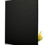 38B10-Black
