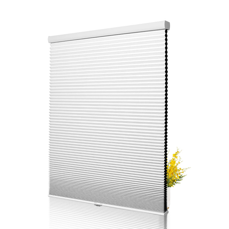 38B01-White