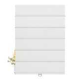 FB01-White