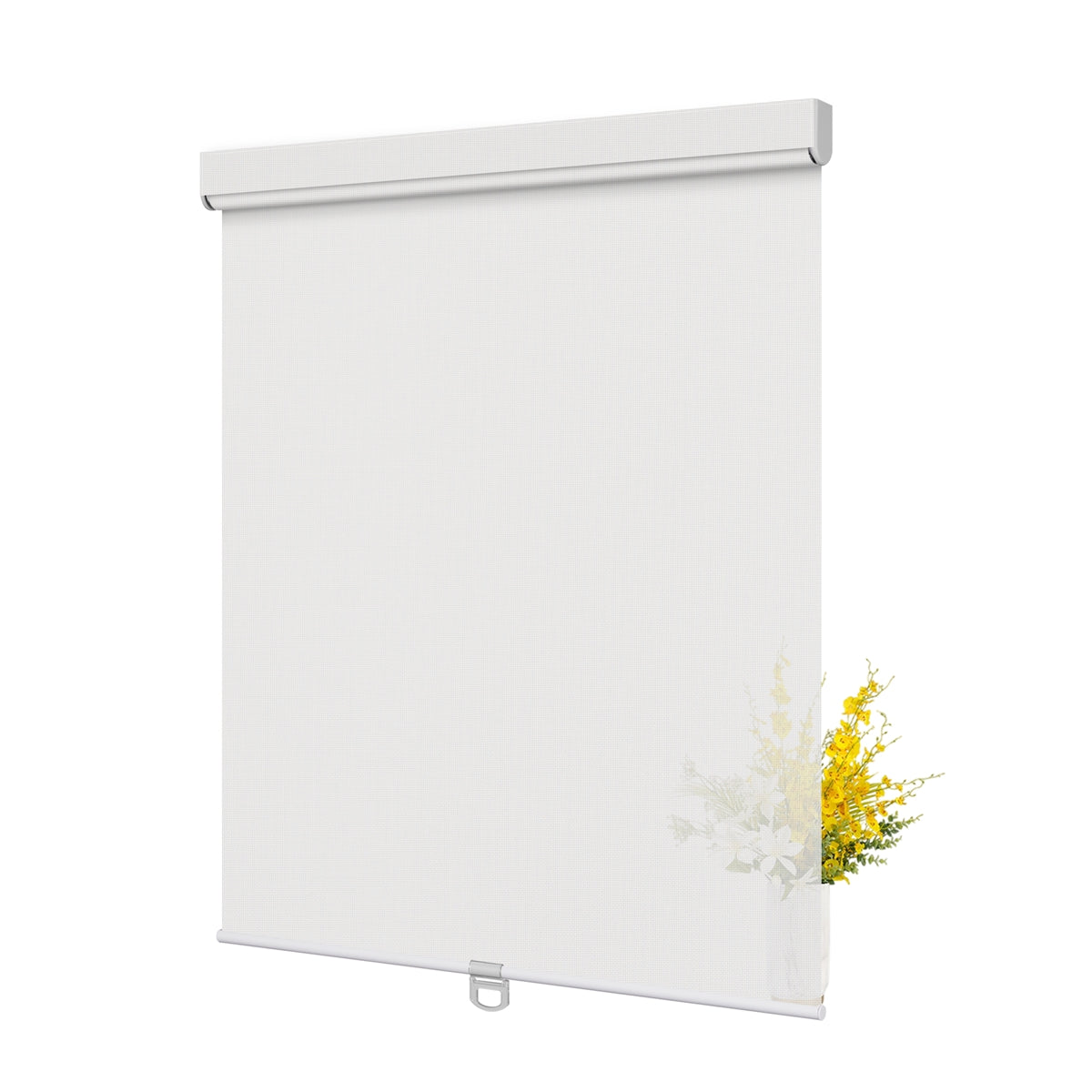 JL0101-White