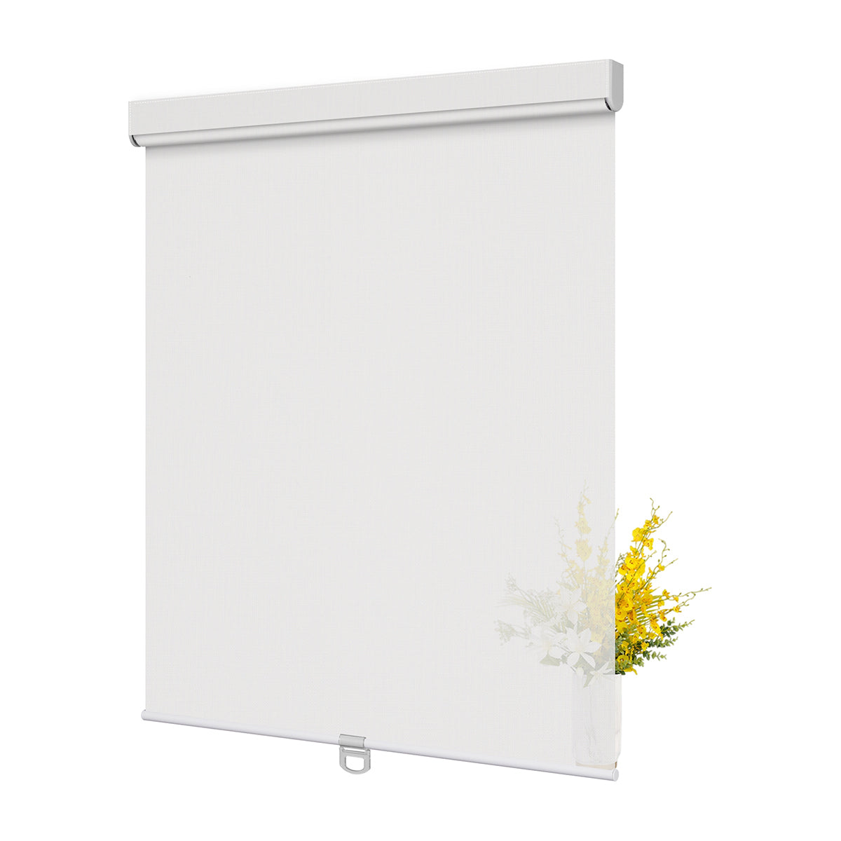 JL0101-White