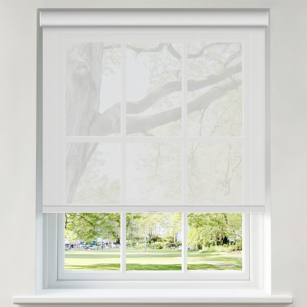 JL0101-White