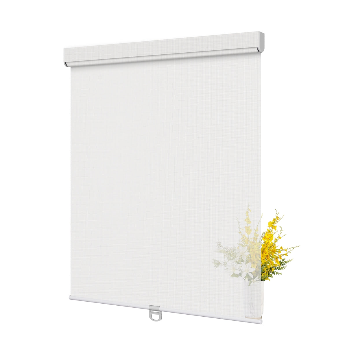 JL0601-White