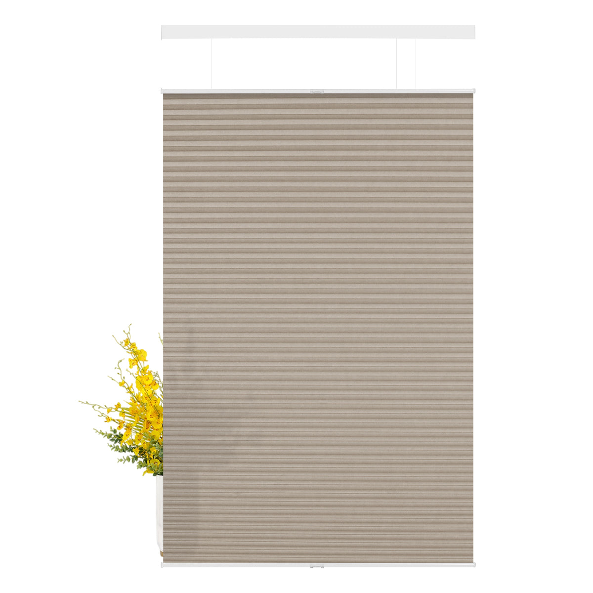 L08-Brown