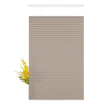 L08-Brown