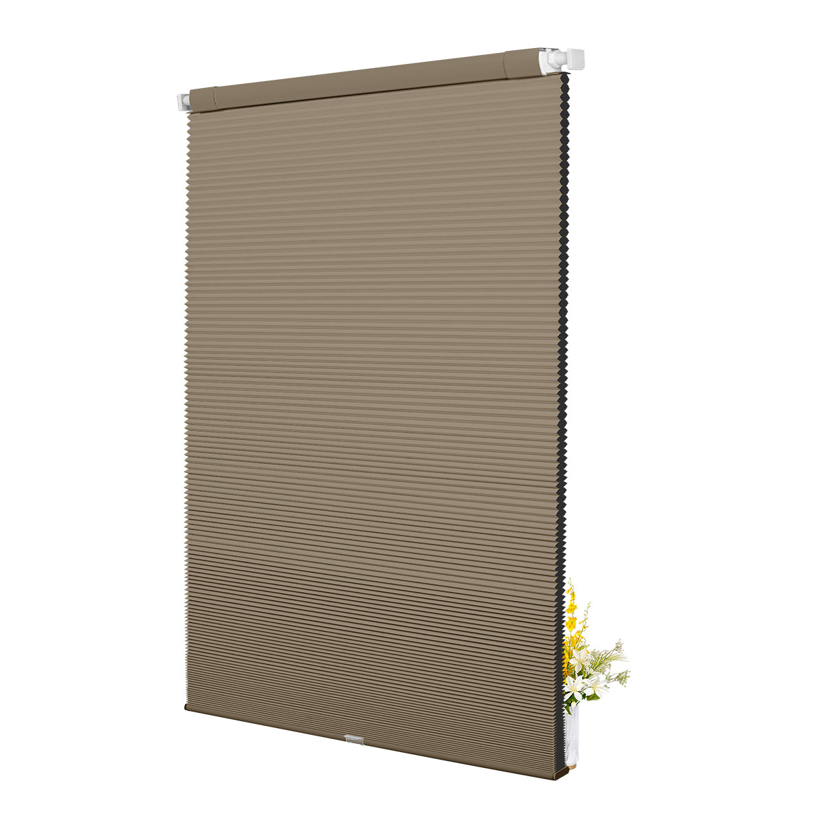 SB08-Brown