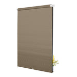 SB08-Brown
