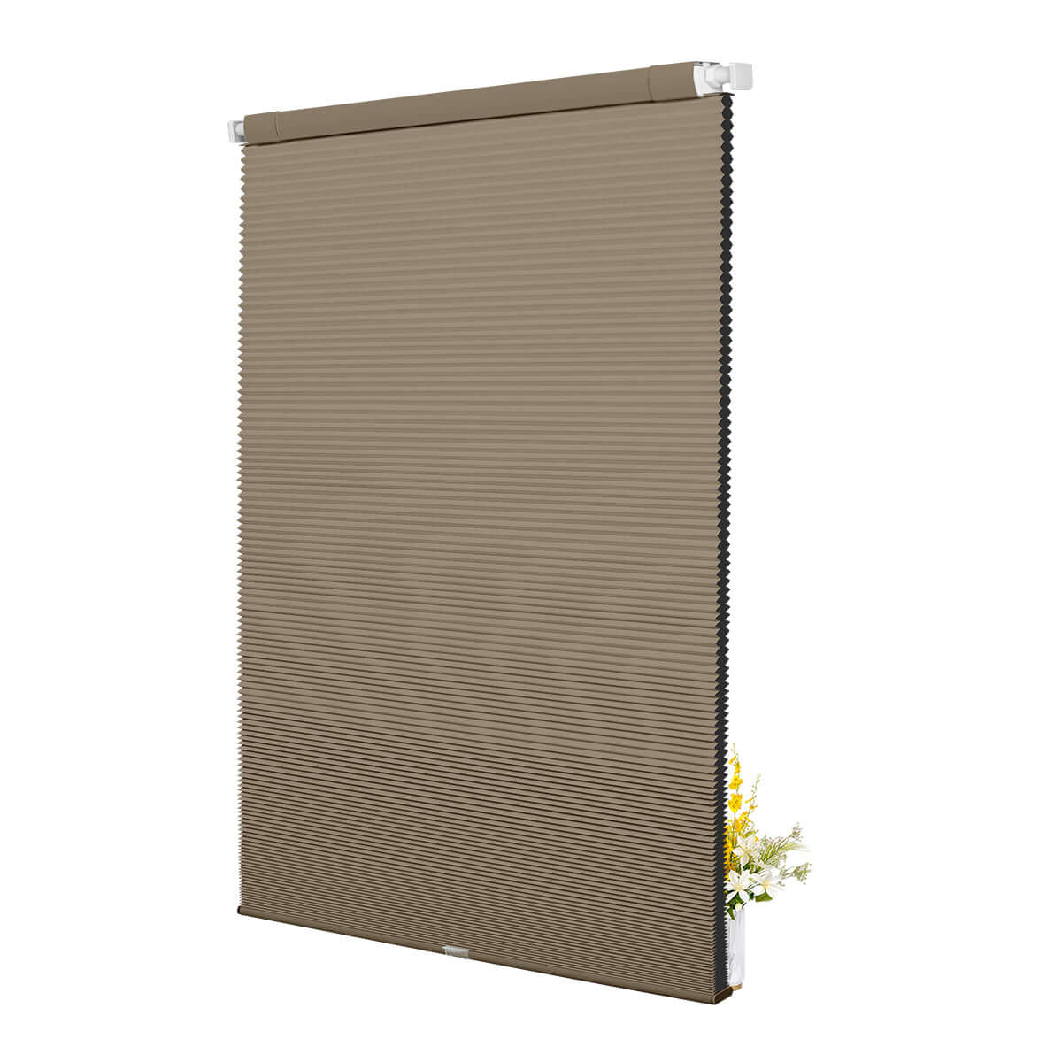 SB08-Brown